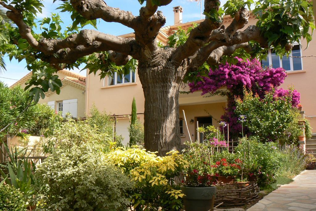 Bed and Breakfast L' Escale Tranquille à Sète Extérieur photo